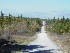 Dolly Sods